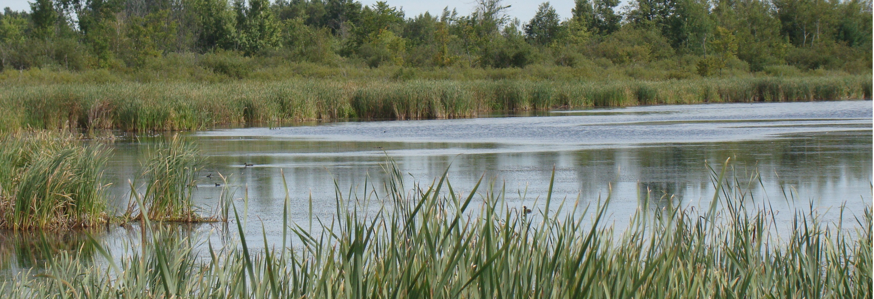 Youth Fishing Derby - Fort Drum - iSportsman