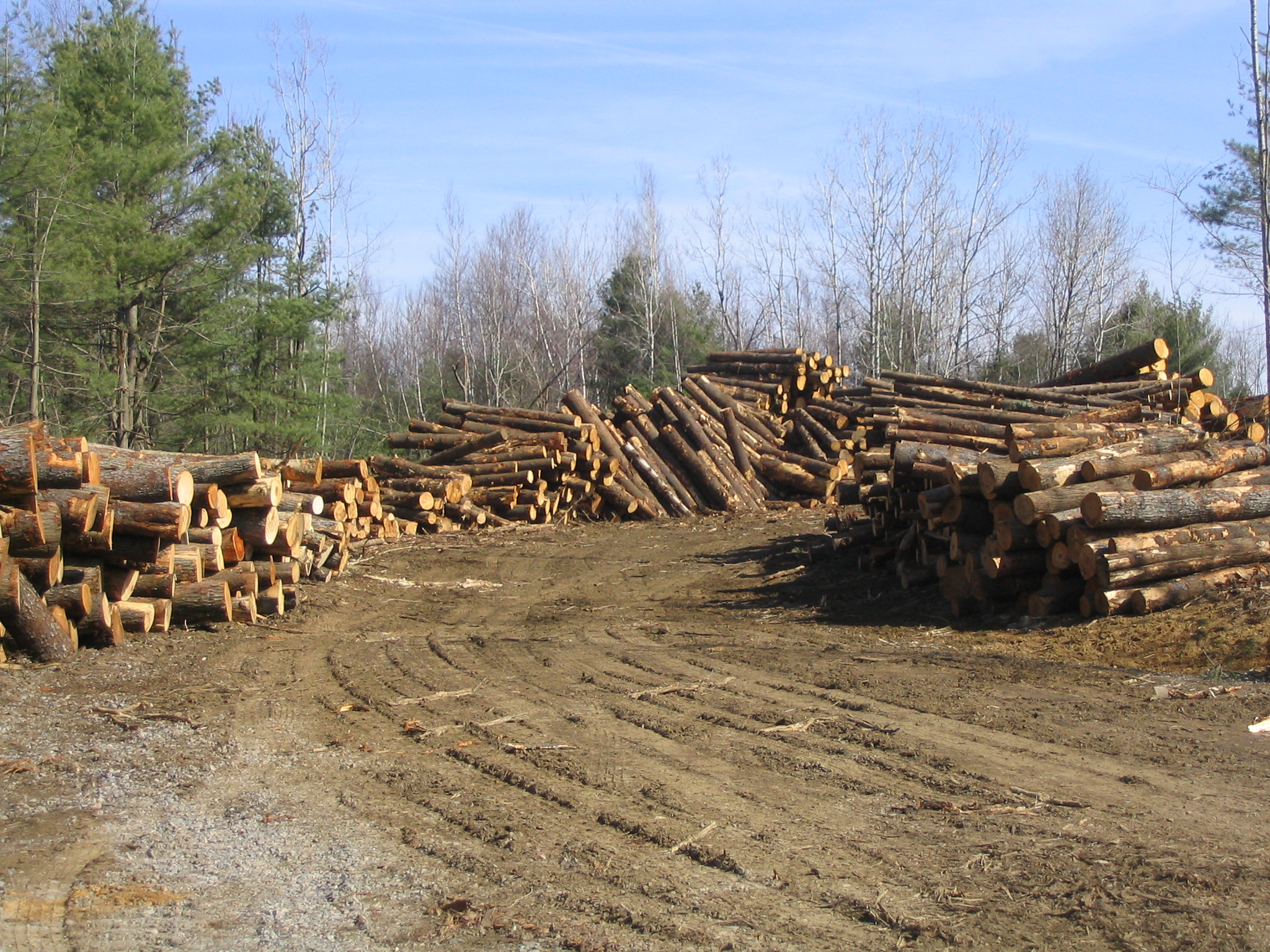 Firewood2 Fort Drum iSportsman